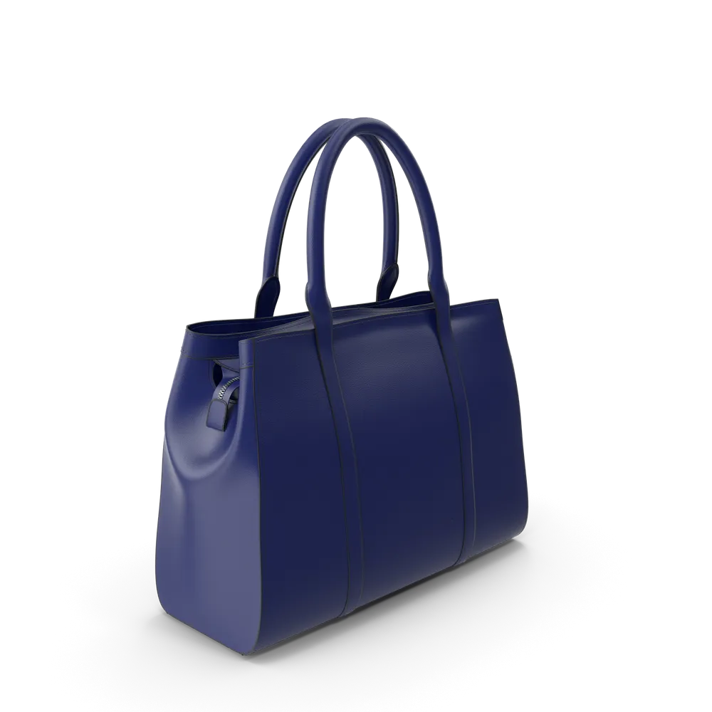 Blue Women's Handbag
