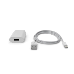 Apple iPhone Charger