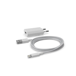 Apple iPhone Charger