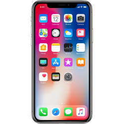 iPhone X
