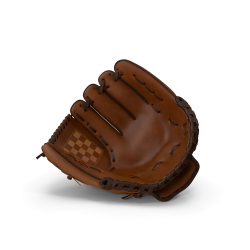 Baseball Glove
