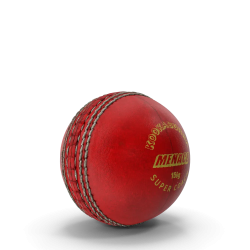 Cricket Ball