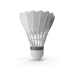 Feather Shuttlecock