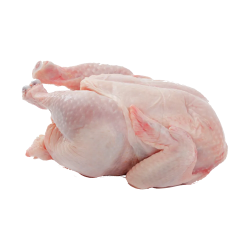 Chicken Meat