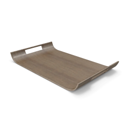 Tray